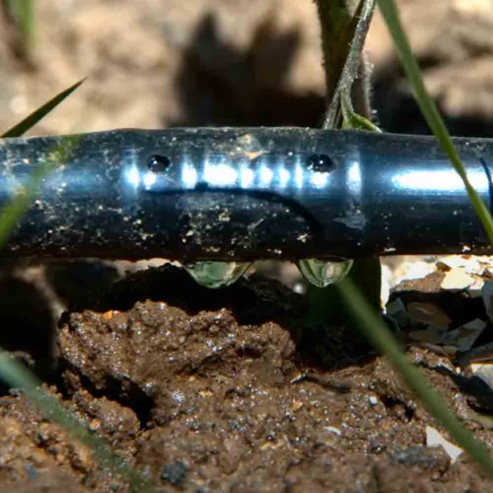 Lašelinis laistymas taupus