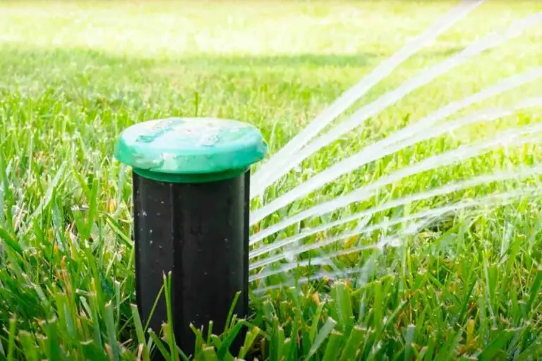 Irrigreen