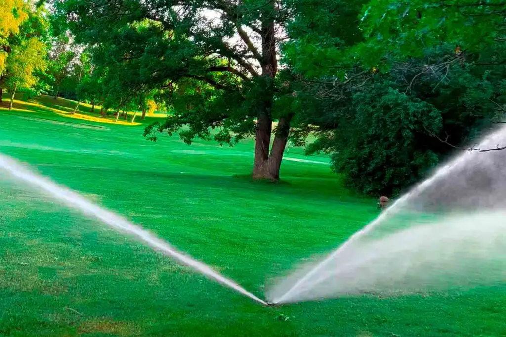 Kas yra laistymas ir kodėl jis svarbus?