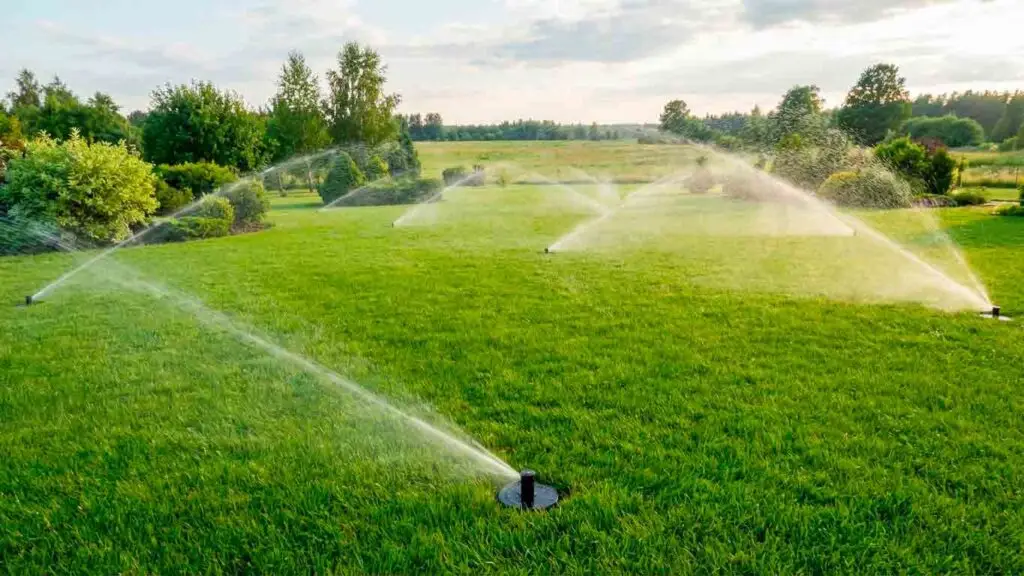 laistymo sistemos kaina