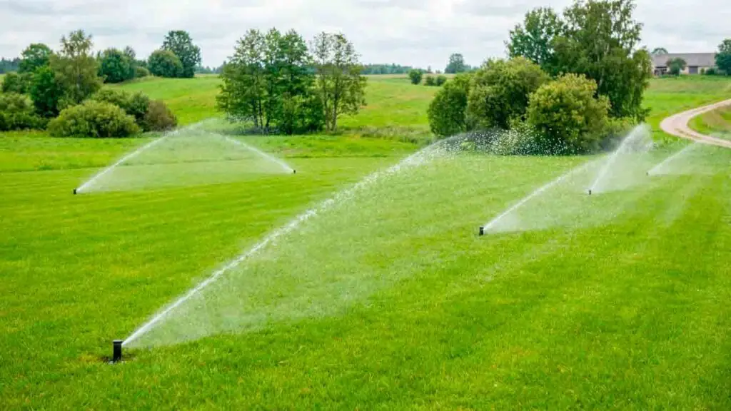 Kainos Priklausomybė nuo Sklypo Dydžio