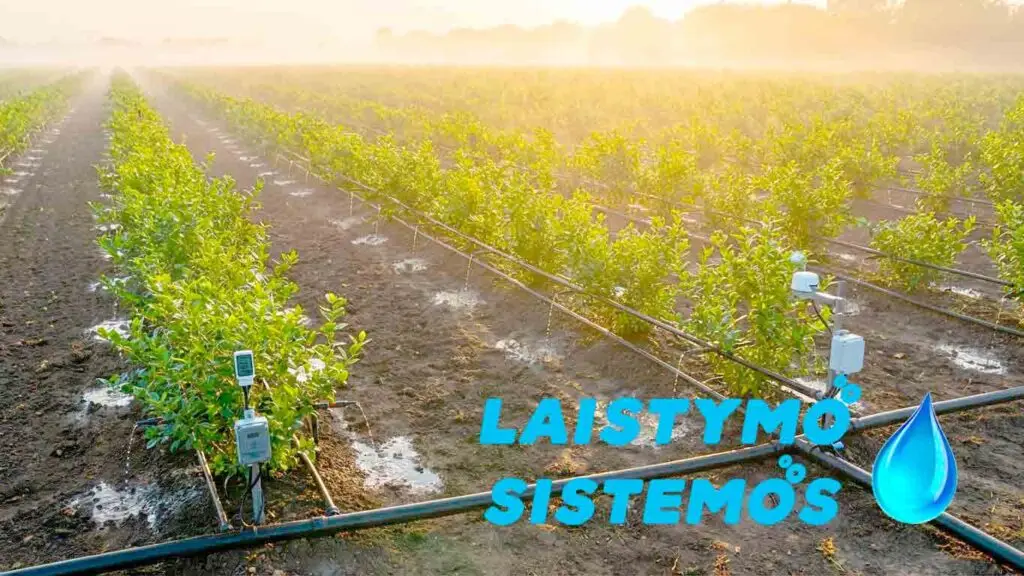 lašelinis laistymas