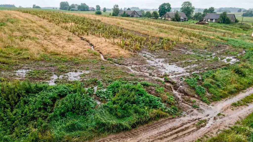 Ar laistymas nuolydyje kelia galvos skausmą?