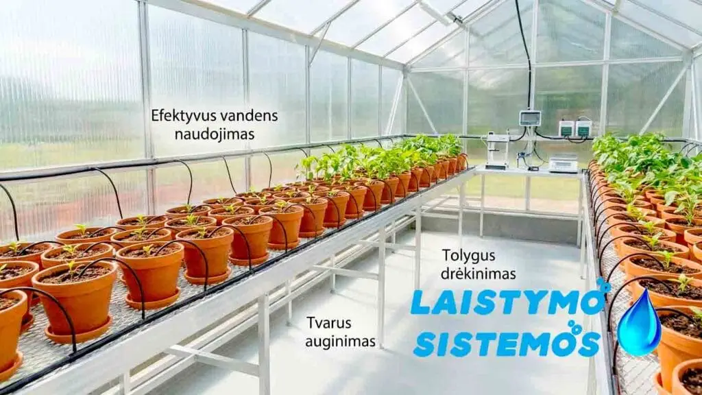 Kapiliarinis laistymas