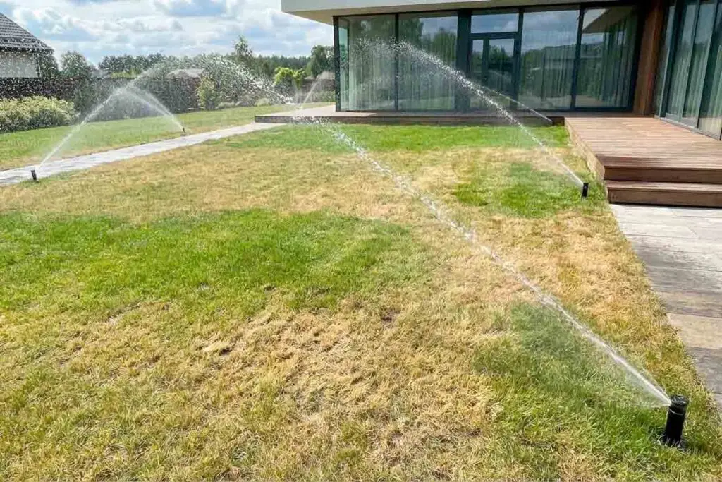 Simptomų atpažinimas: Sausos zonos jūsų sklype