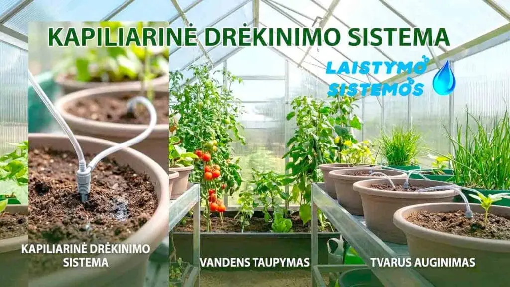 Kapiliarinė drekinimo sistema